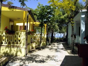 Camping International***