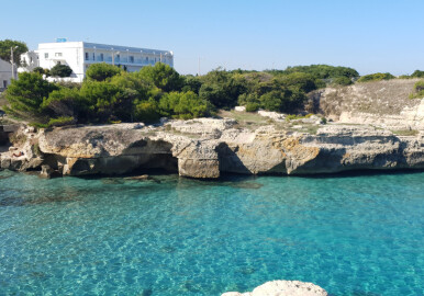Oasis Park Hotel***